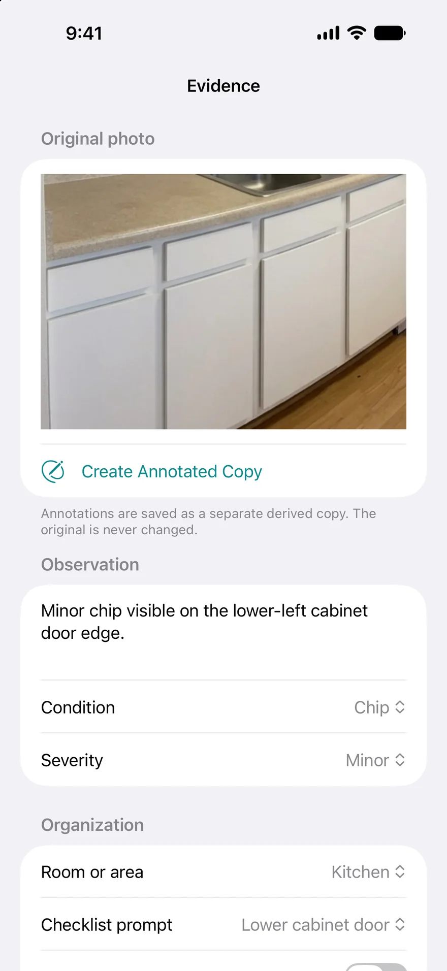 Rental Record evidence and observations on iPhone using fictional rental data.