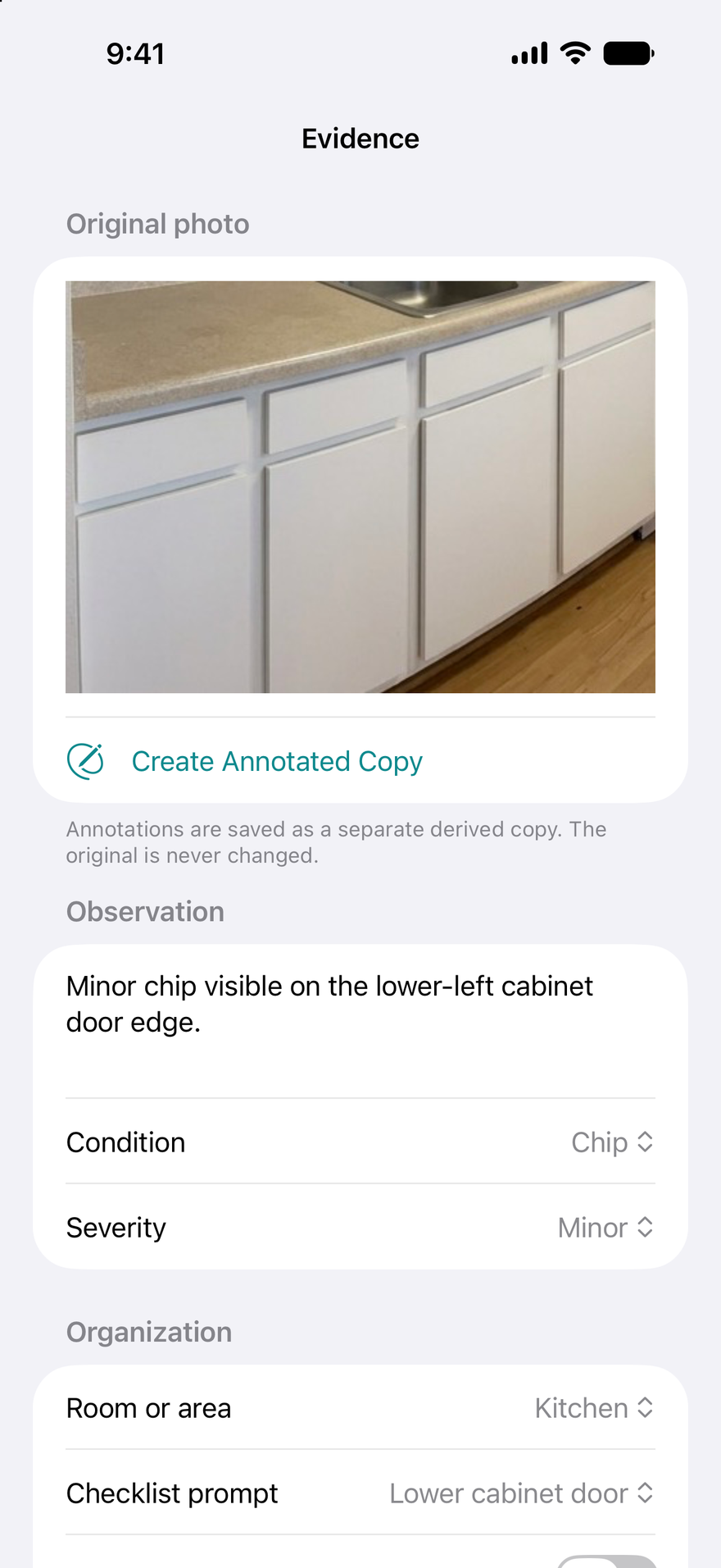 Rental Record evidence and observations on iPhone using fictional rental data.